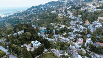 an aerial view of a city with lots of trees