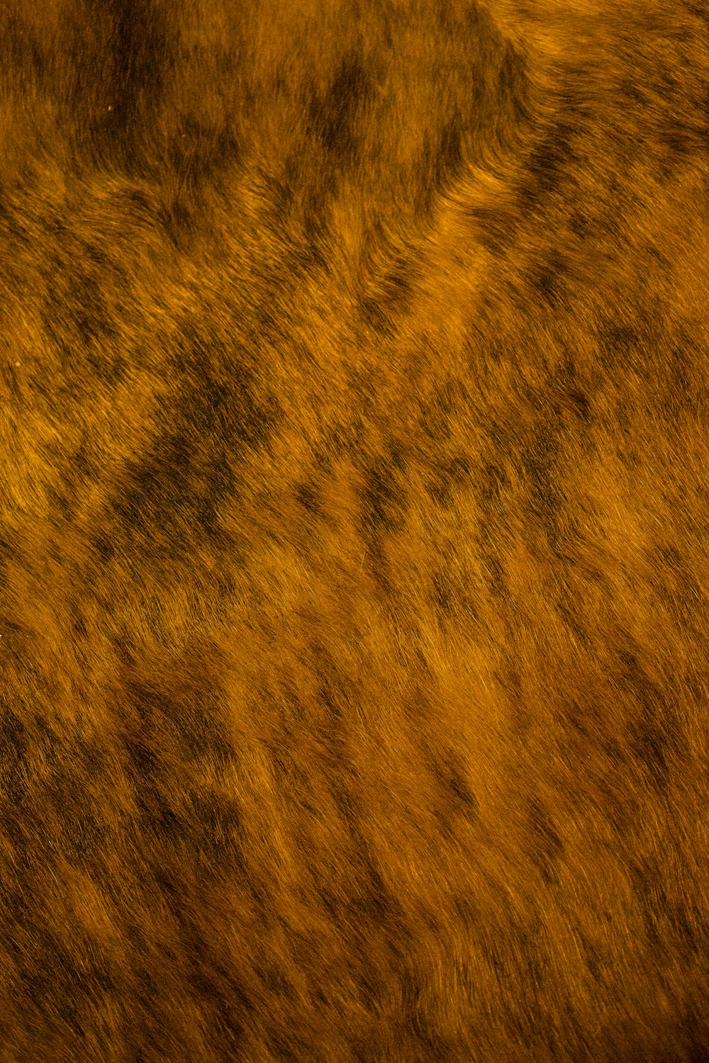 Un primer plano del pelaje de un animal marrón