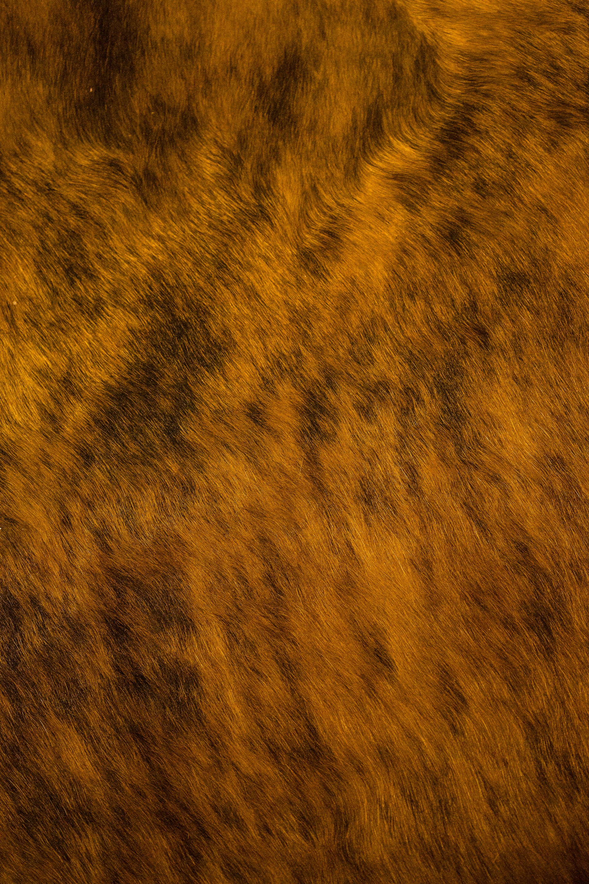 a close up of a brown animal's fur