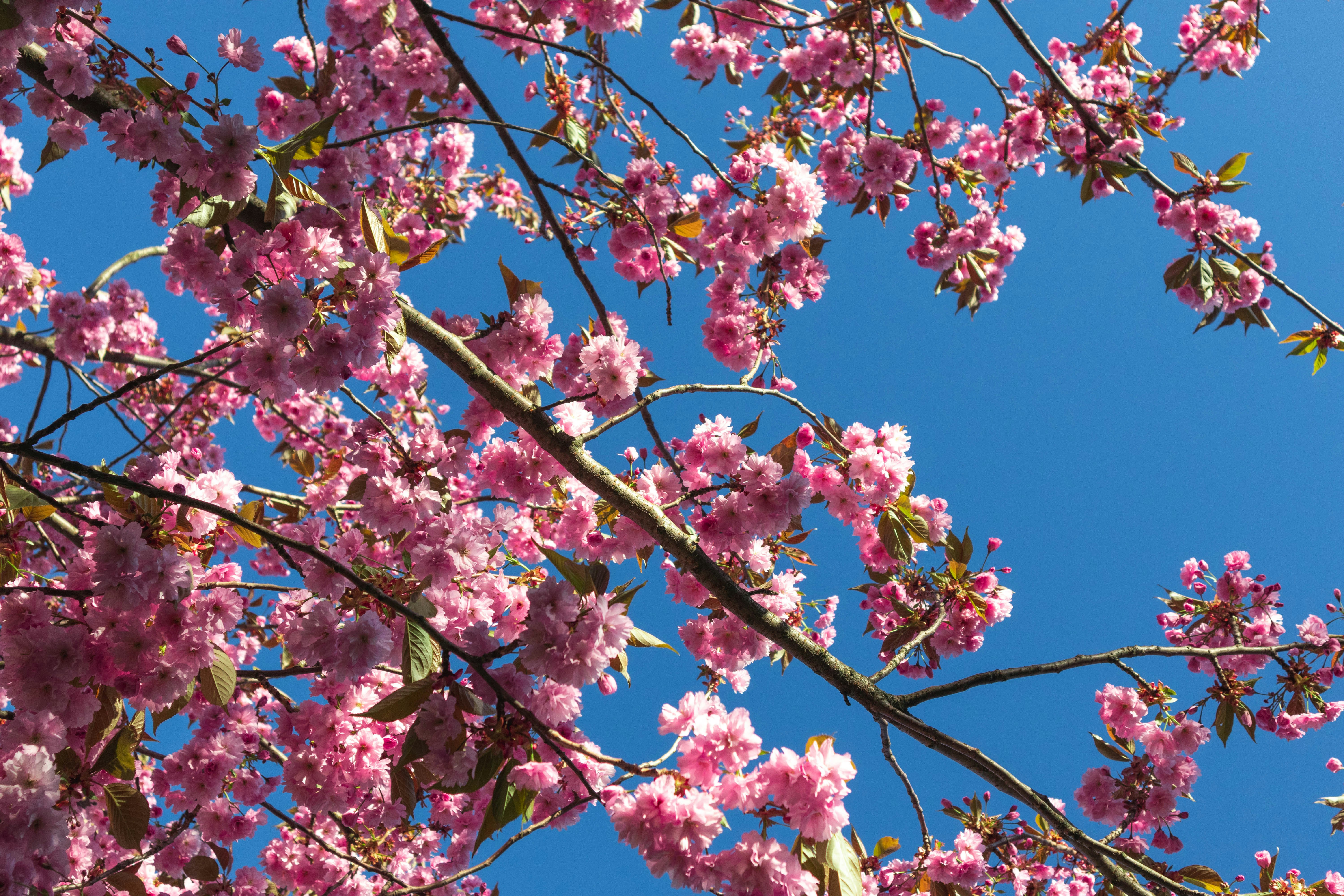 Photo by sofijastefa