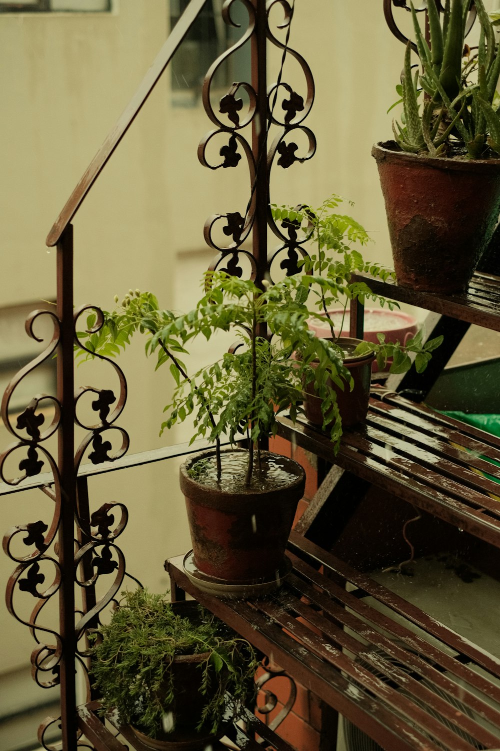 um conjunto de escadas com vasos de plantas sobre ele