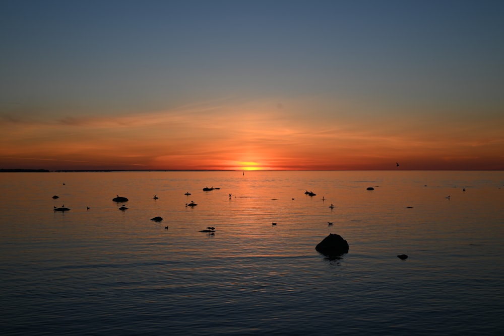 a sunset over a body of water with birds in the water