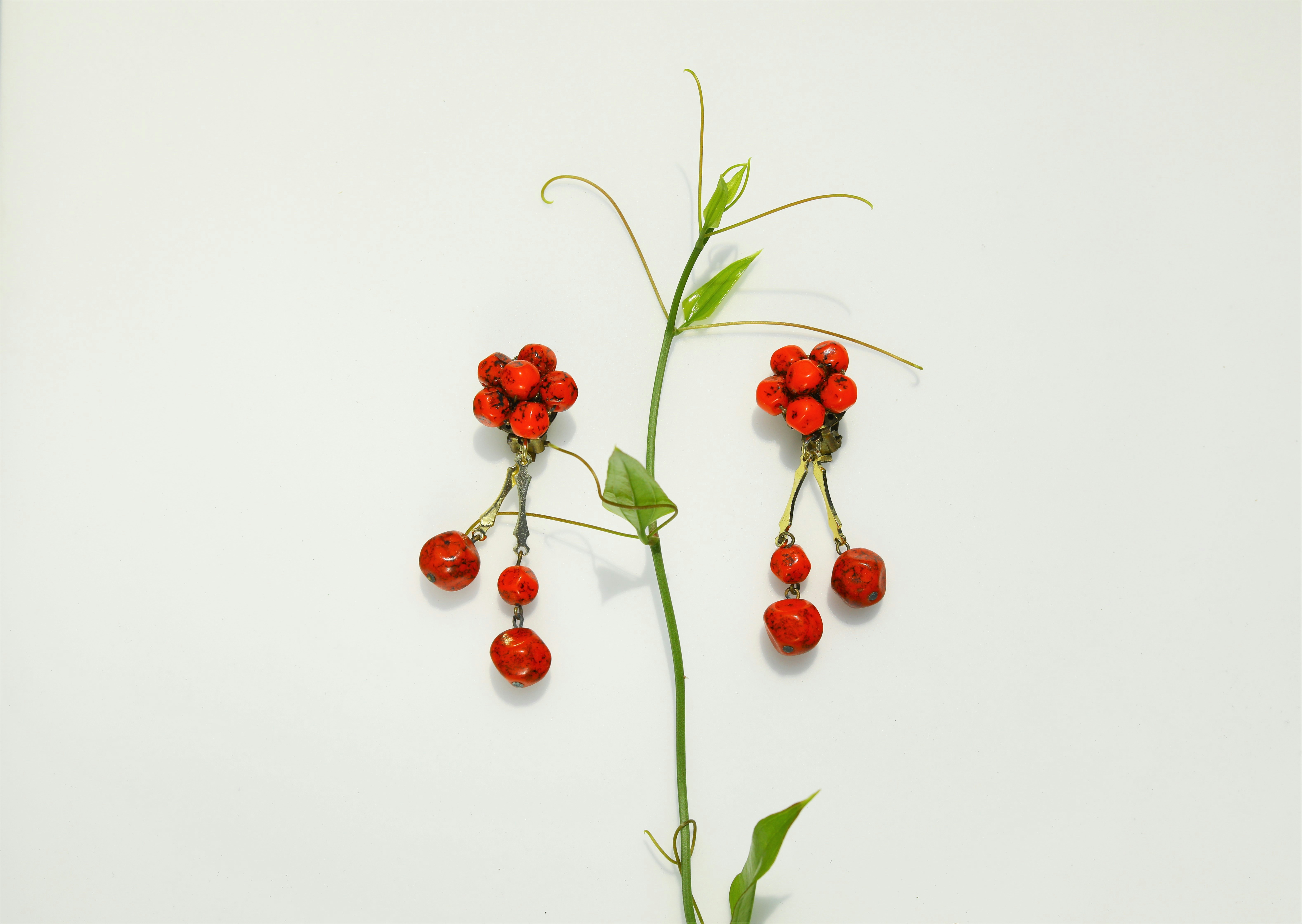 a branch of a plant with red berries on it