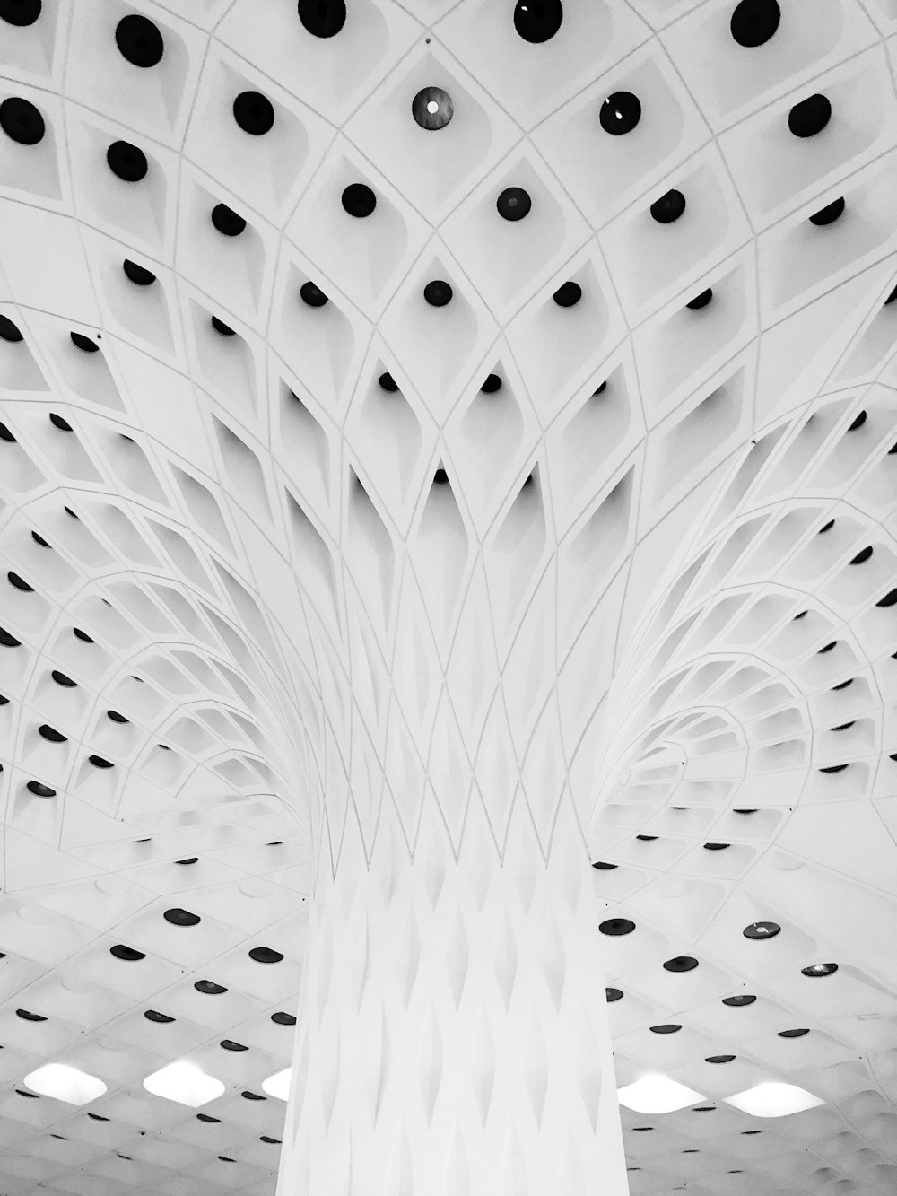 a black and white photo of a ceiling in a building