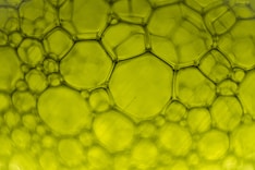 a close up view of a green vase filled with water