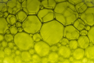 a close up view of a green vase filled with water