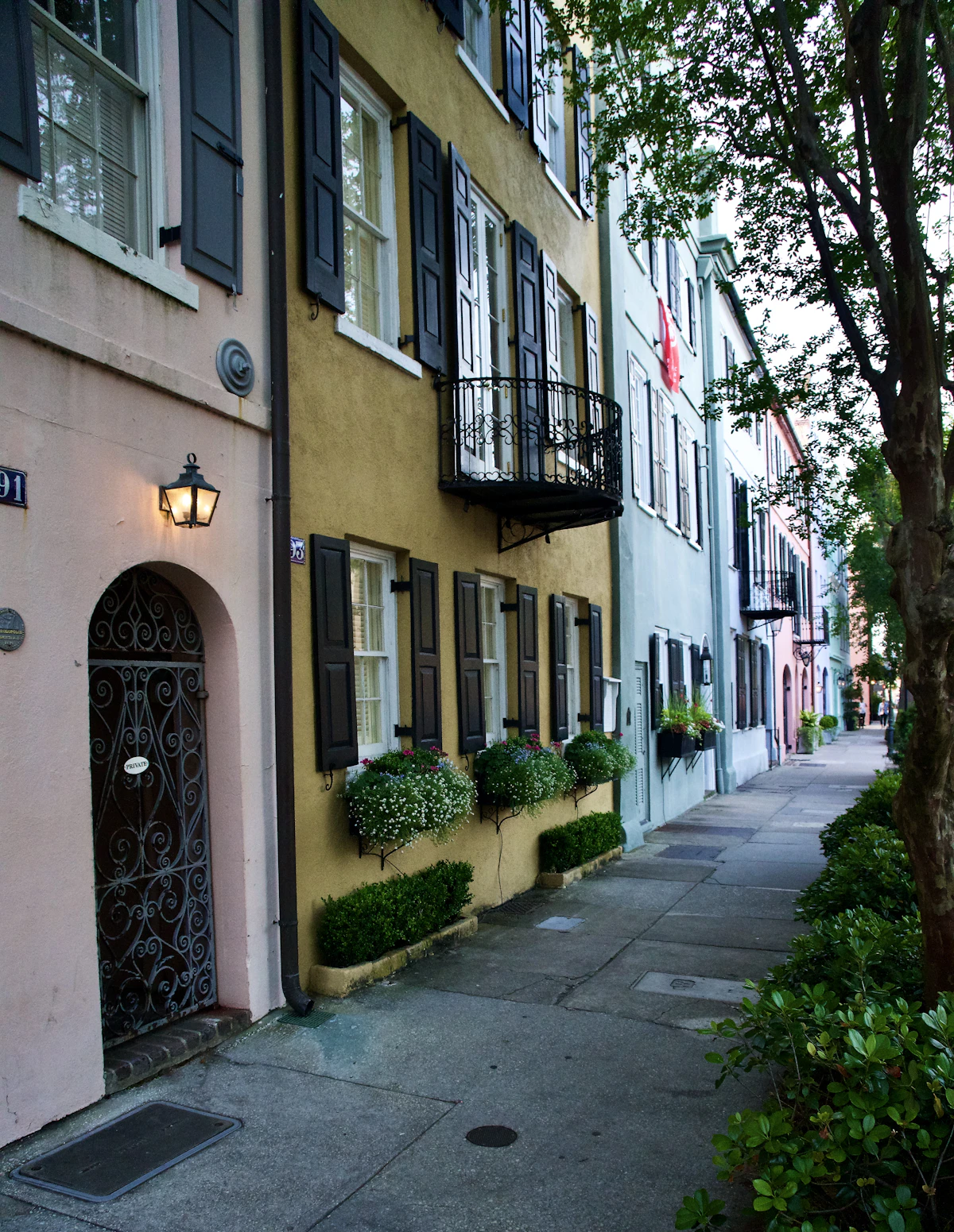 Row of Charleston residential buildings along a street