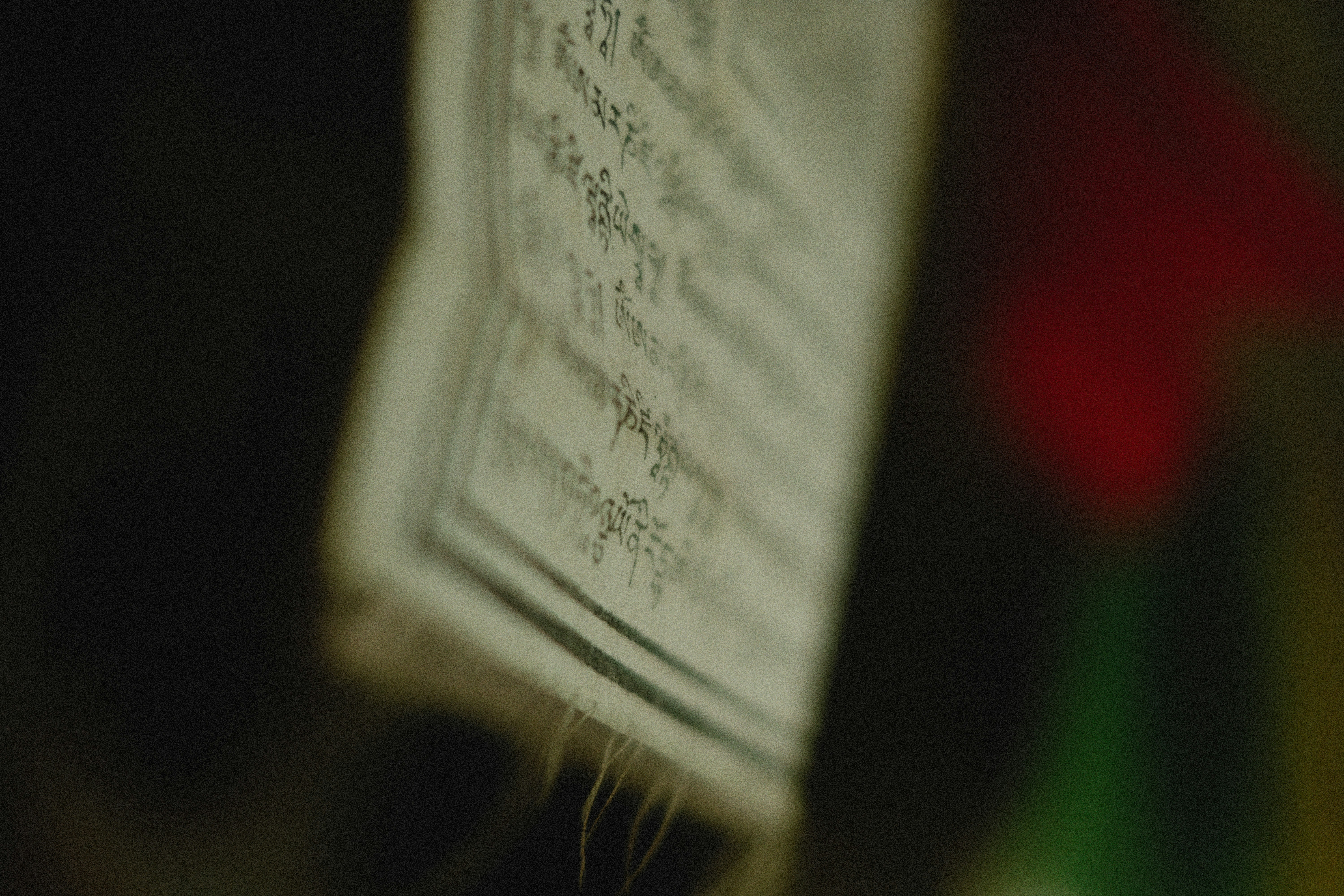 Photo by alexeydemidov