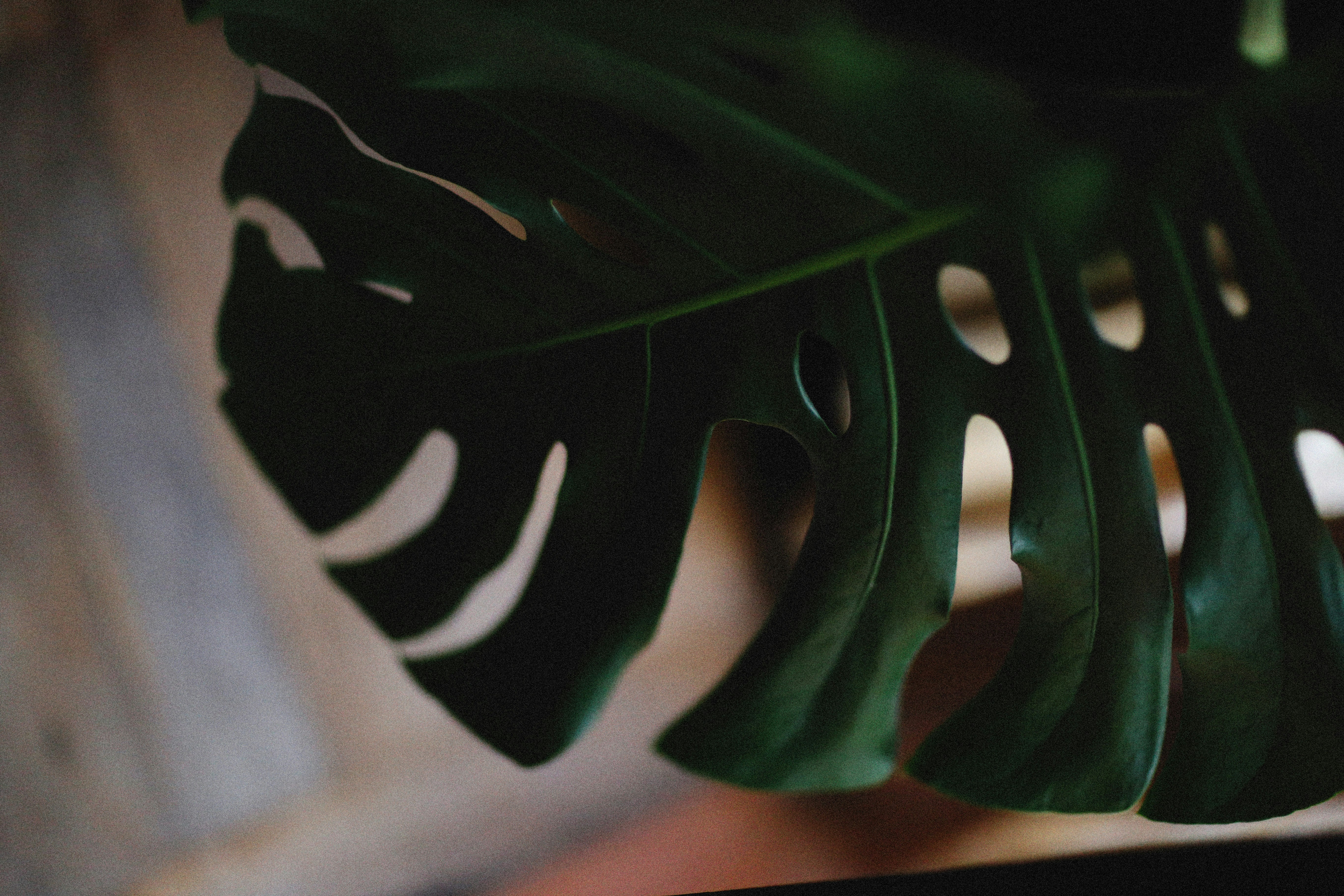 Photo by alexeydemidov