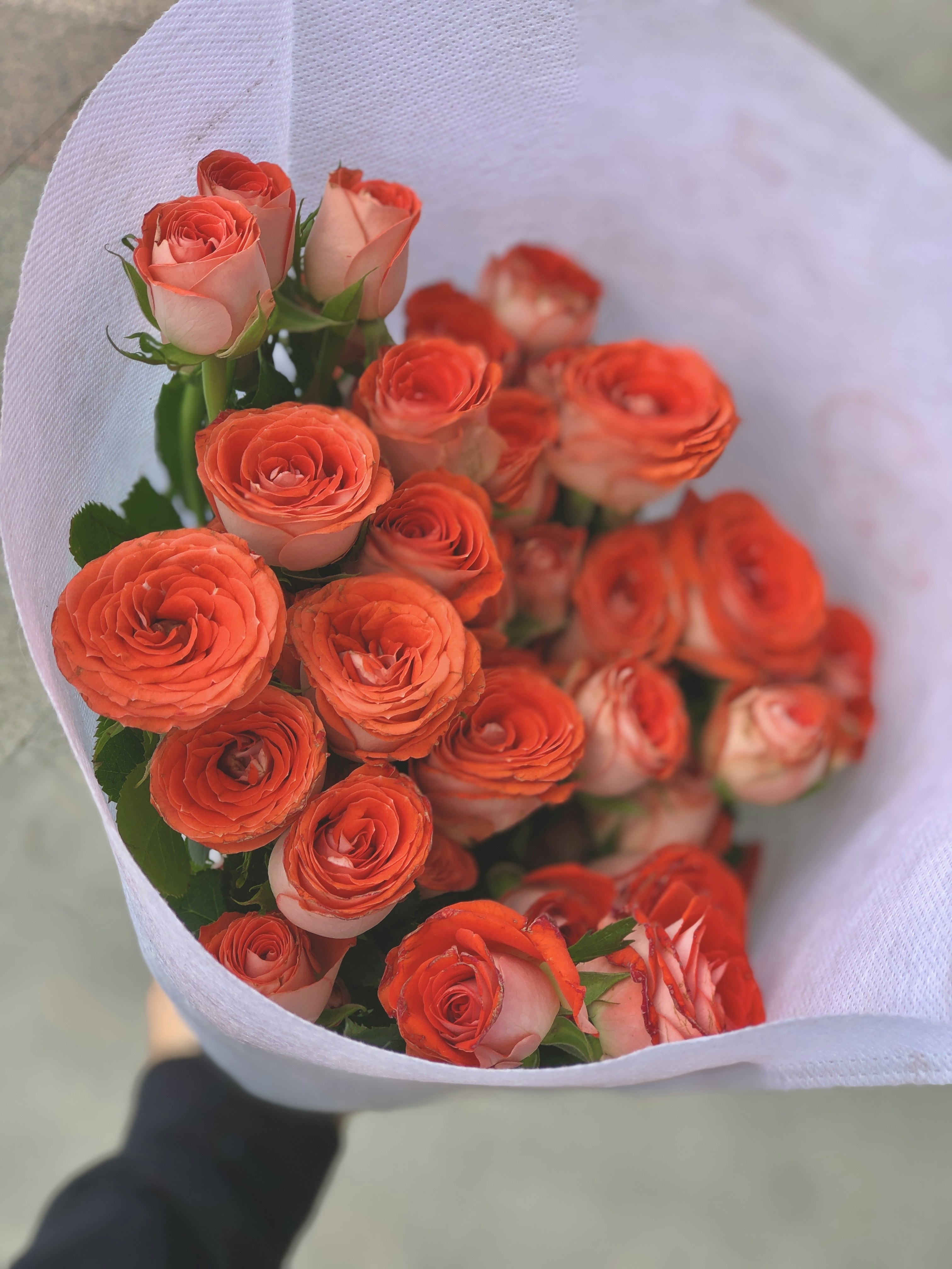 Photo by hsssssssssiga