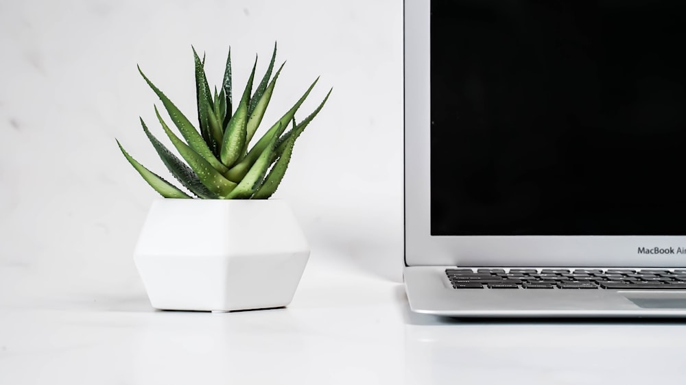 a laptop computer sitting next to a potted plant