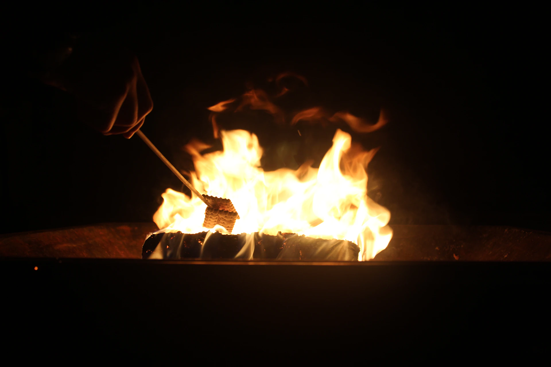 Golden marshmallows roasting over glowing embers with a backdrop of towering pine trees under a twilight sky.