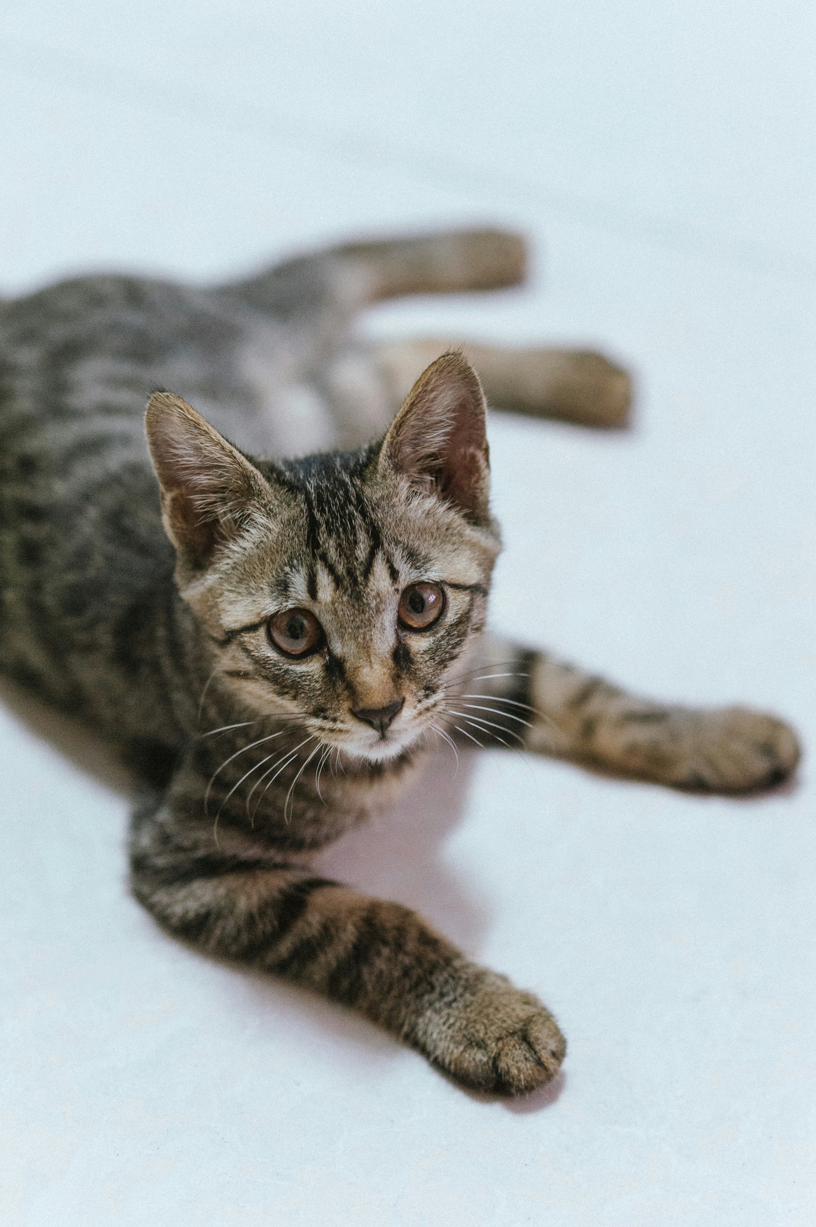 Photo by peek_a_boo_who