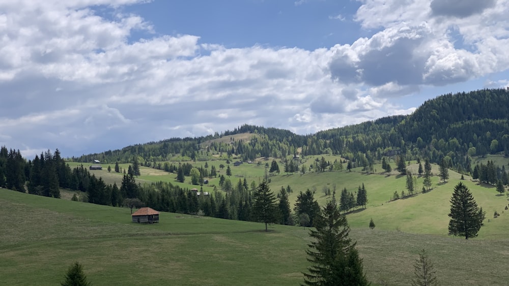 a grassy field with a small cabin in the distance