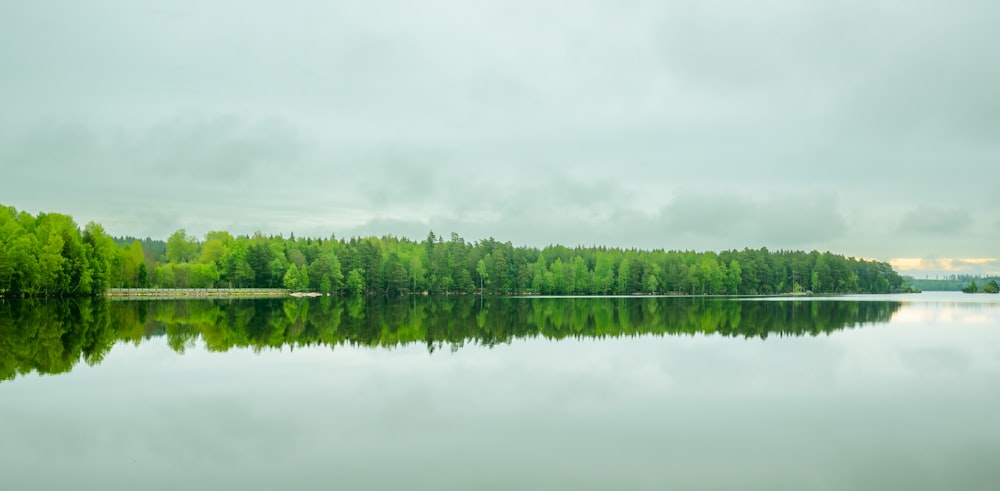 Ein ruhiger See umgeben von Bäumen an einem bewölkten Tag