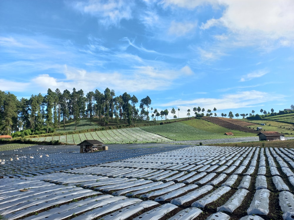 a large field with a lot of water in it