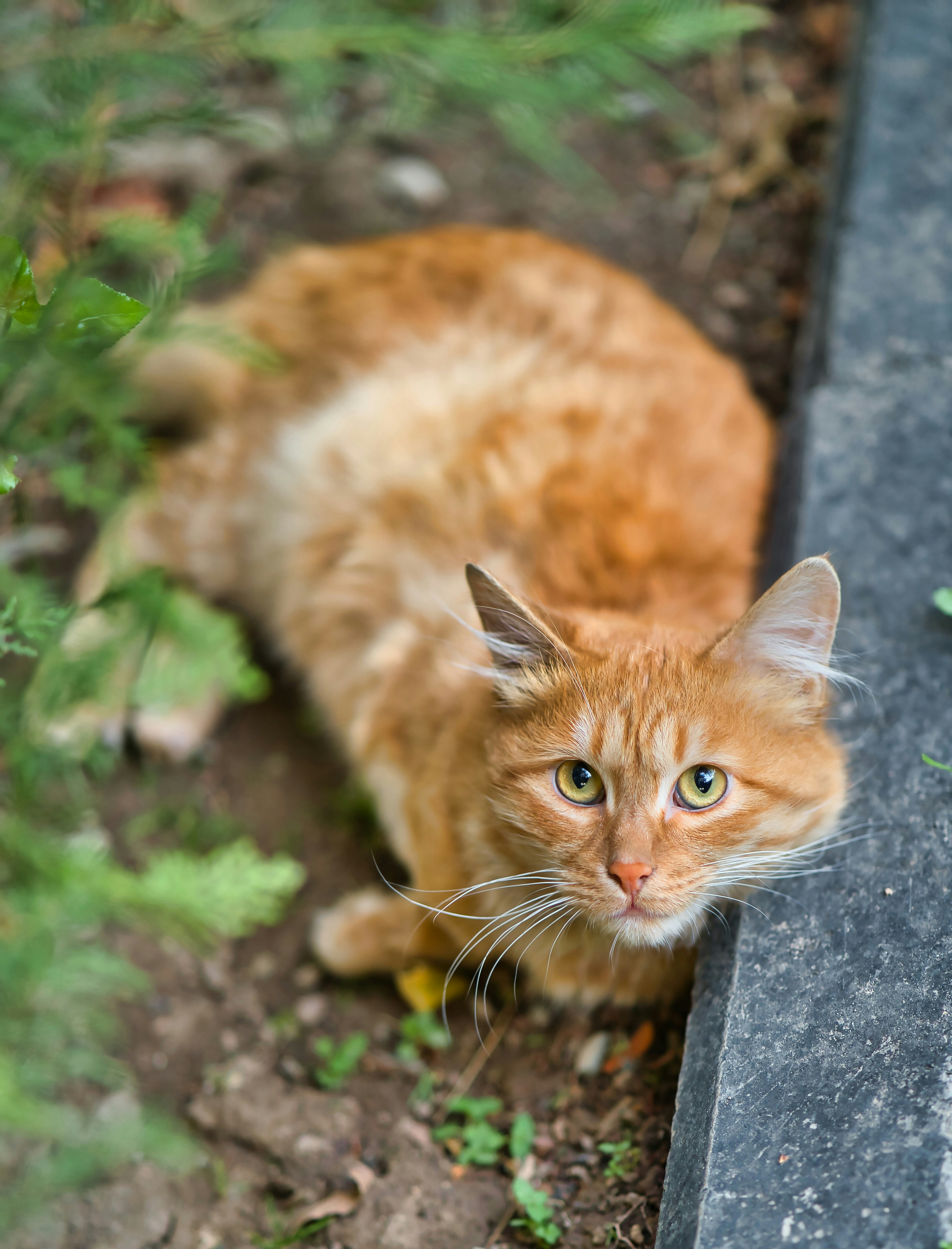 Photo by akbarnemati