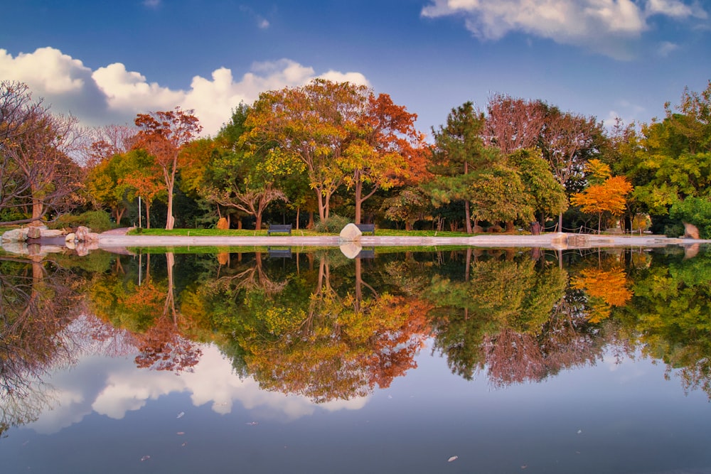 a body of water surrounded by trees and clouds