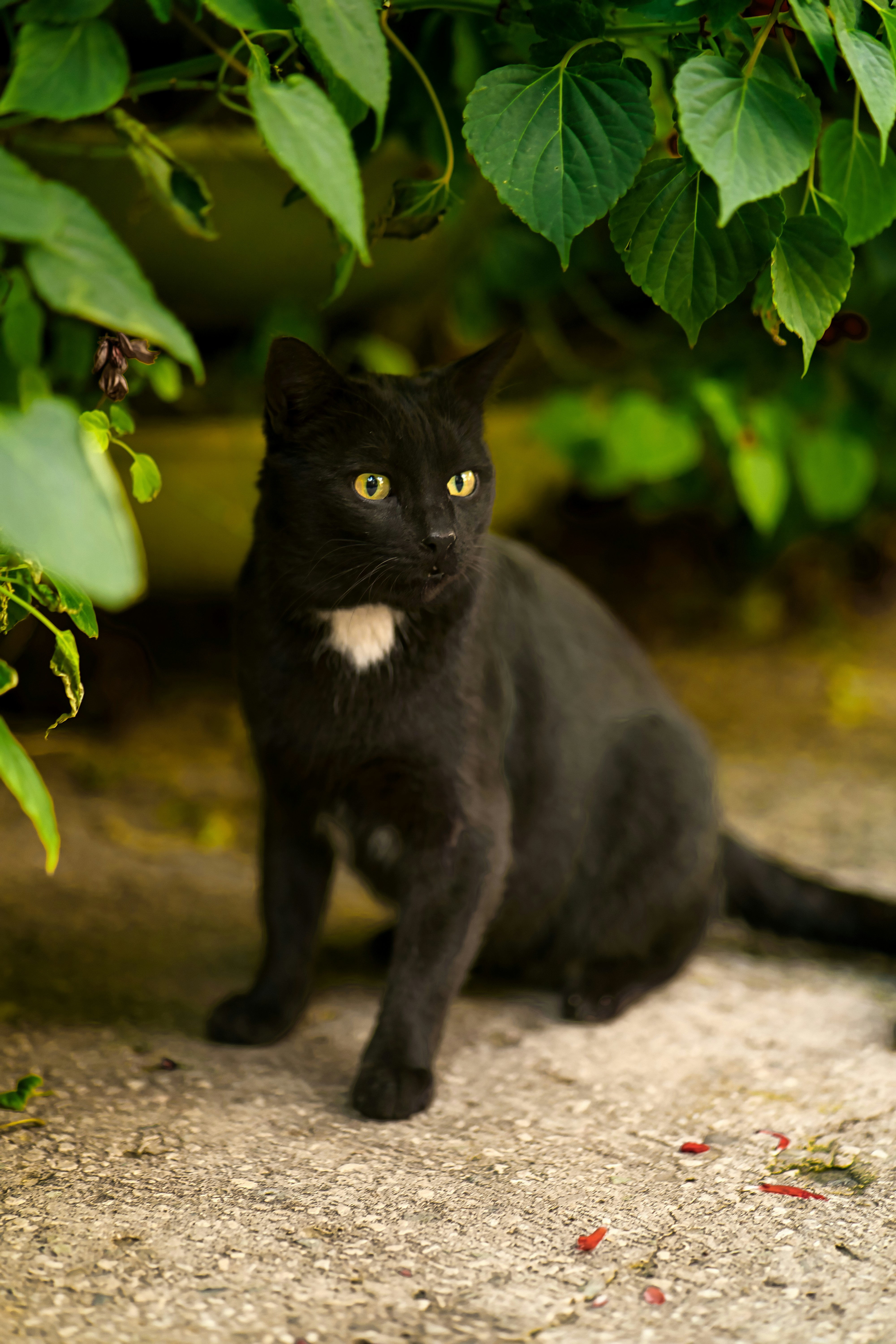 Photo by akbarnemati