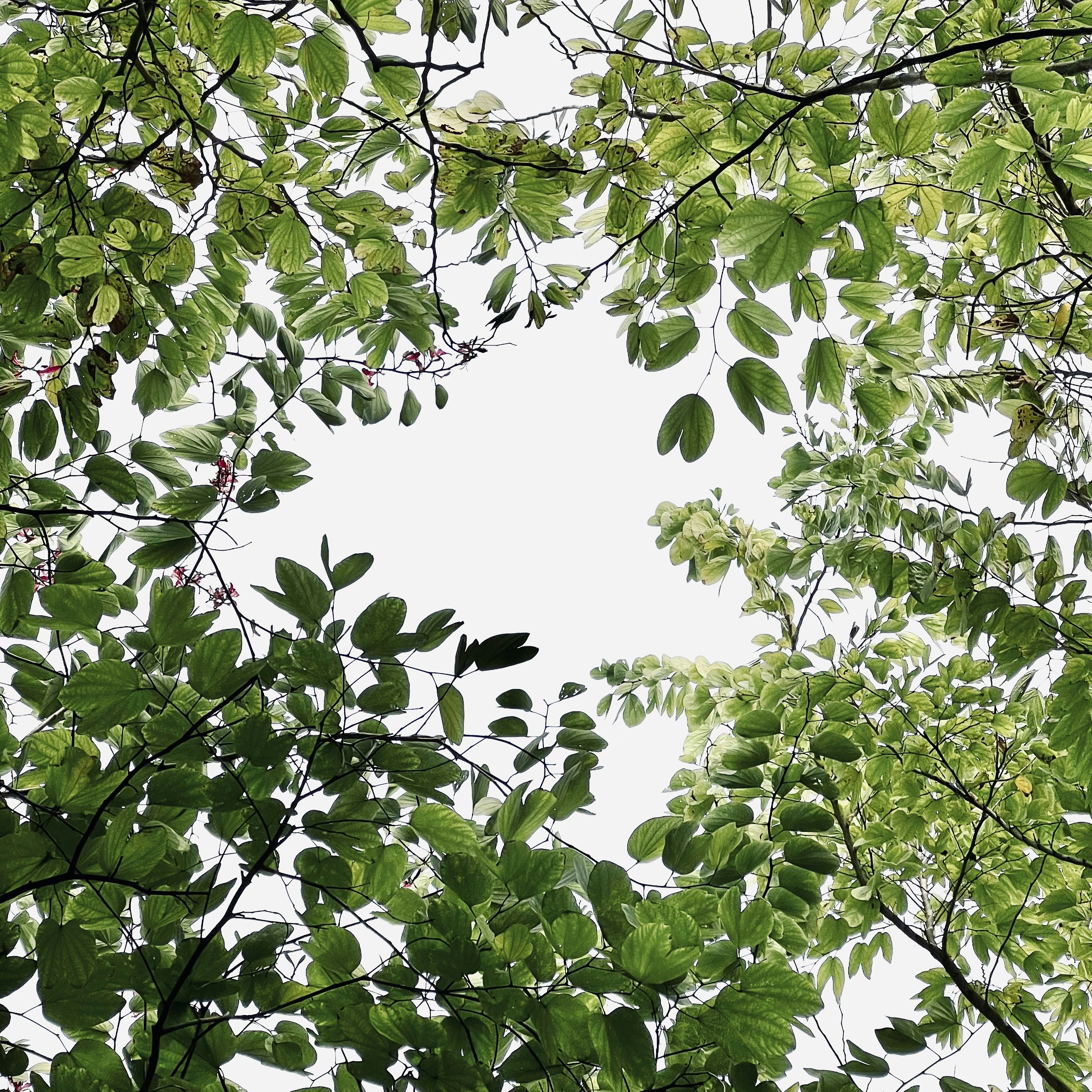 Photo by isleepysheep