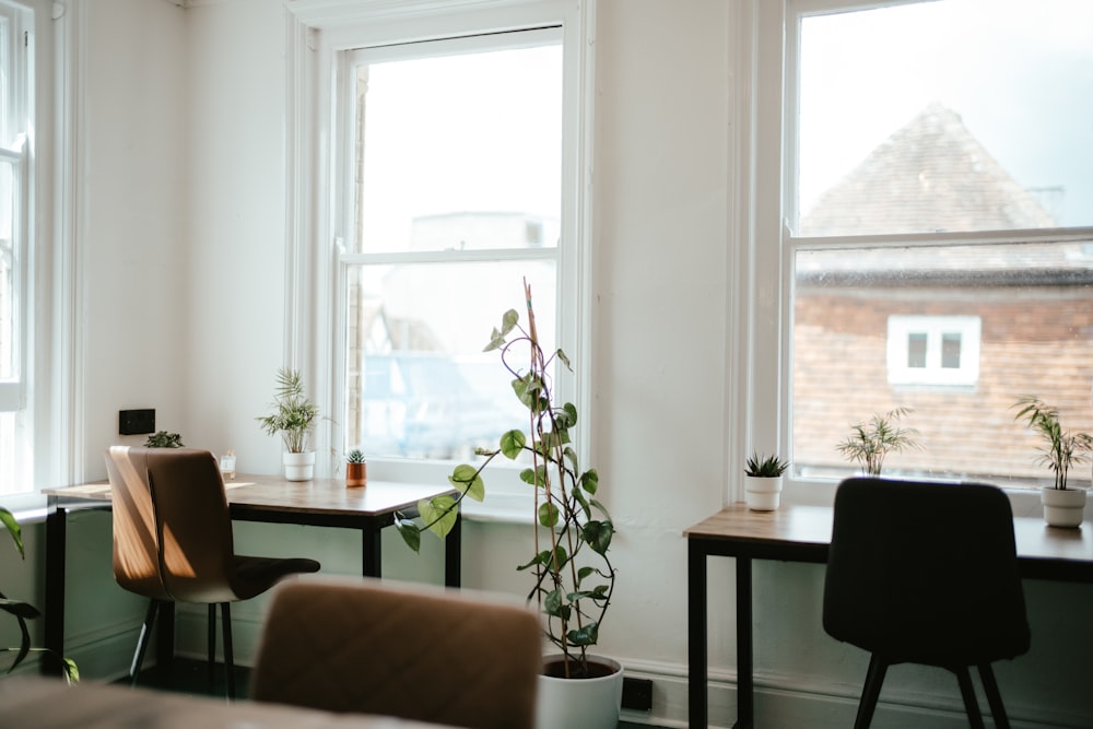 a couple of chairs sitting next to each other near a window