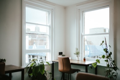 A calm interior corner features two large, bright windows. A small table with a beige chair is surrounded by various green plants in pots. The soft light creates a soothing atmosphere.