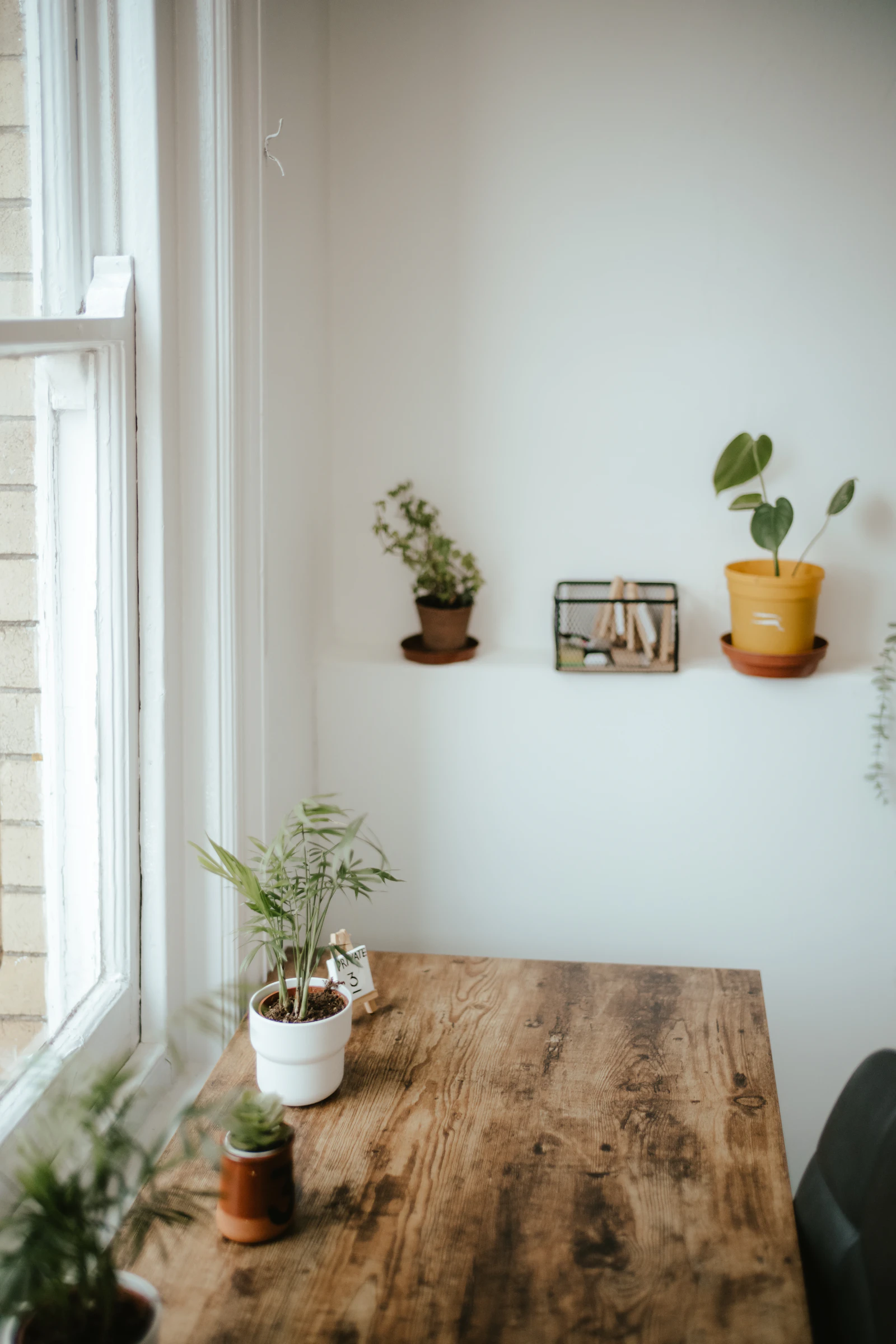 A bright, airy corner with potted plants beside a window