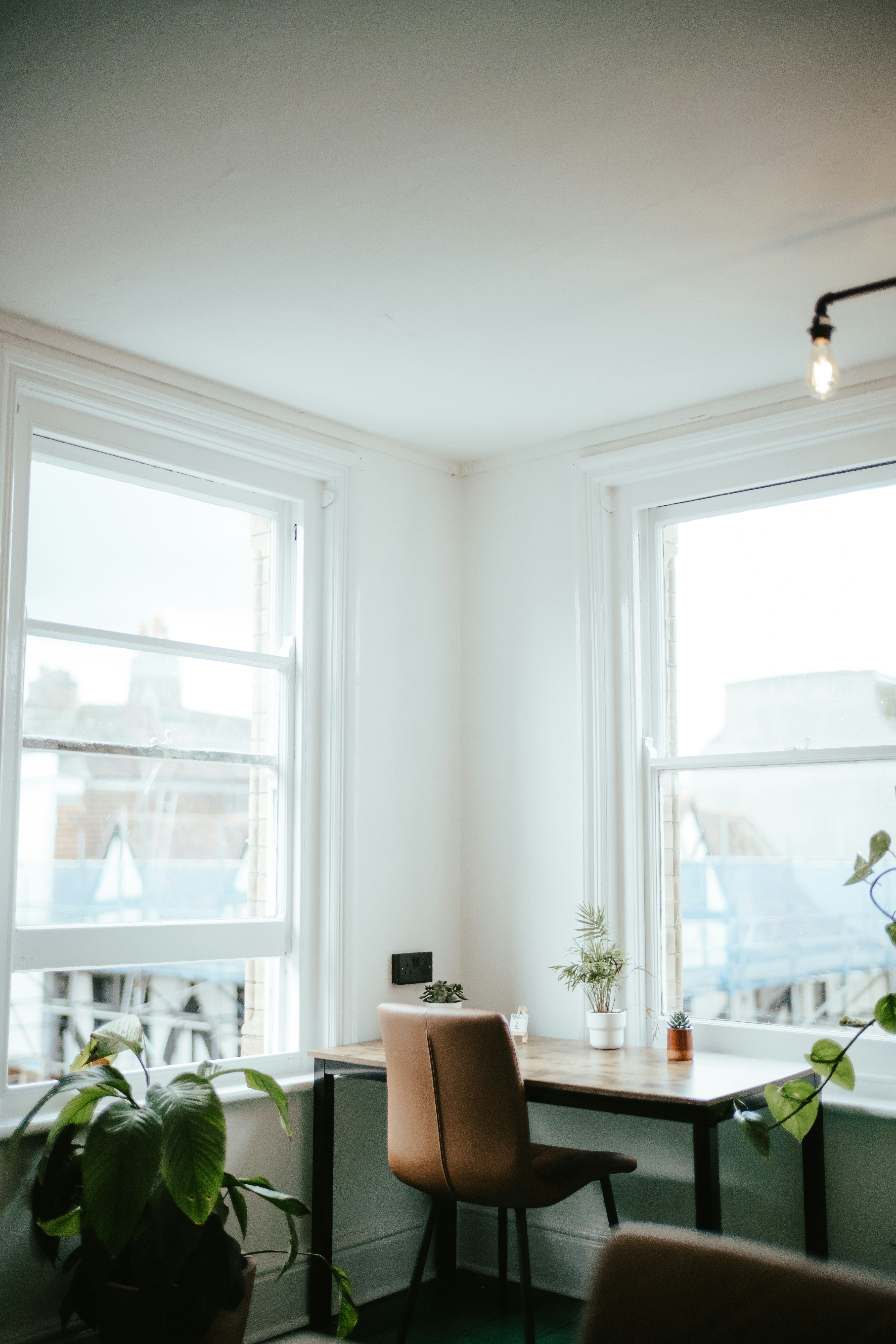 Photo by anniespratt