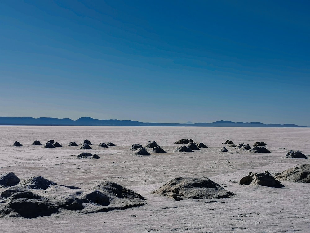 a vast expanse of rocks in the middle of a desert