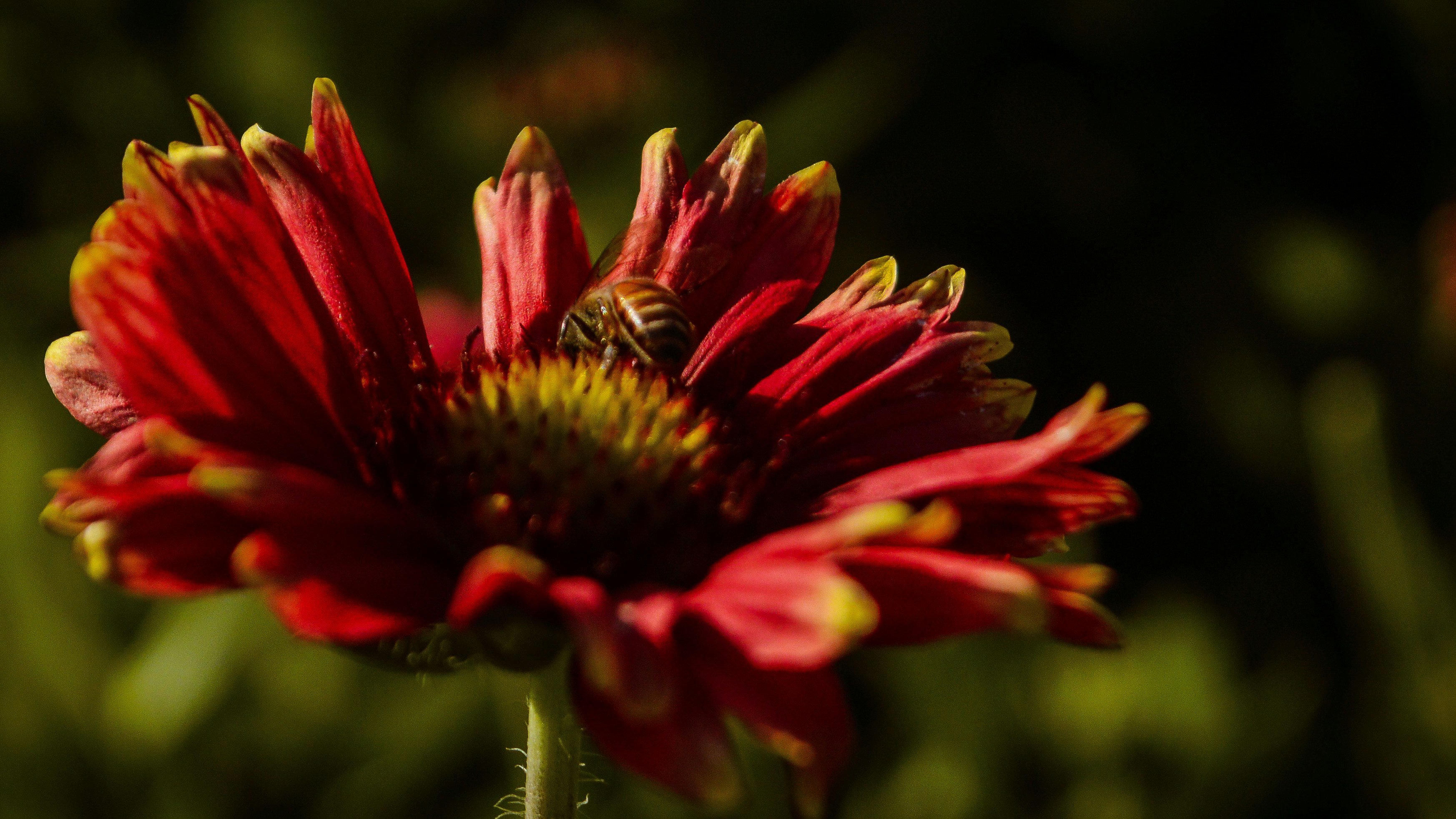 Photo by architectmuralid