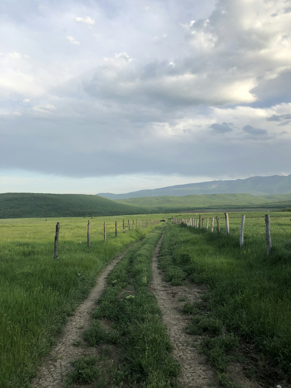 a dirt road in the middle of a grassy field