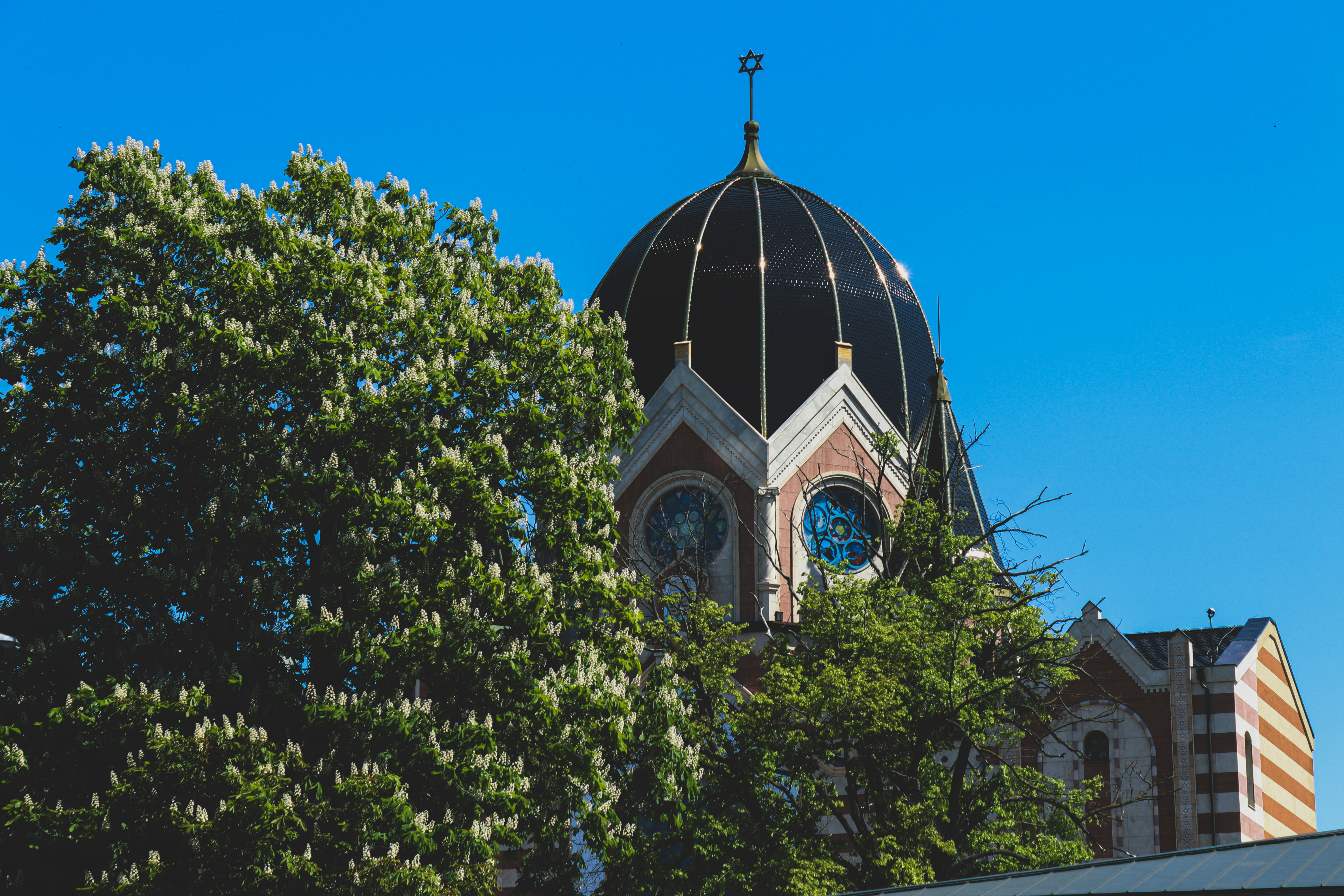 Photo by irinagrotkjaer