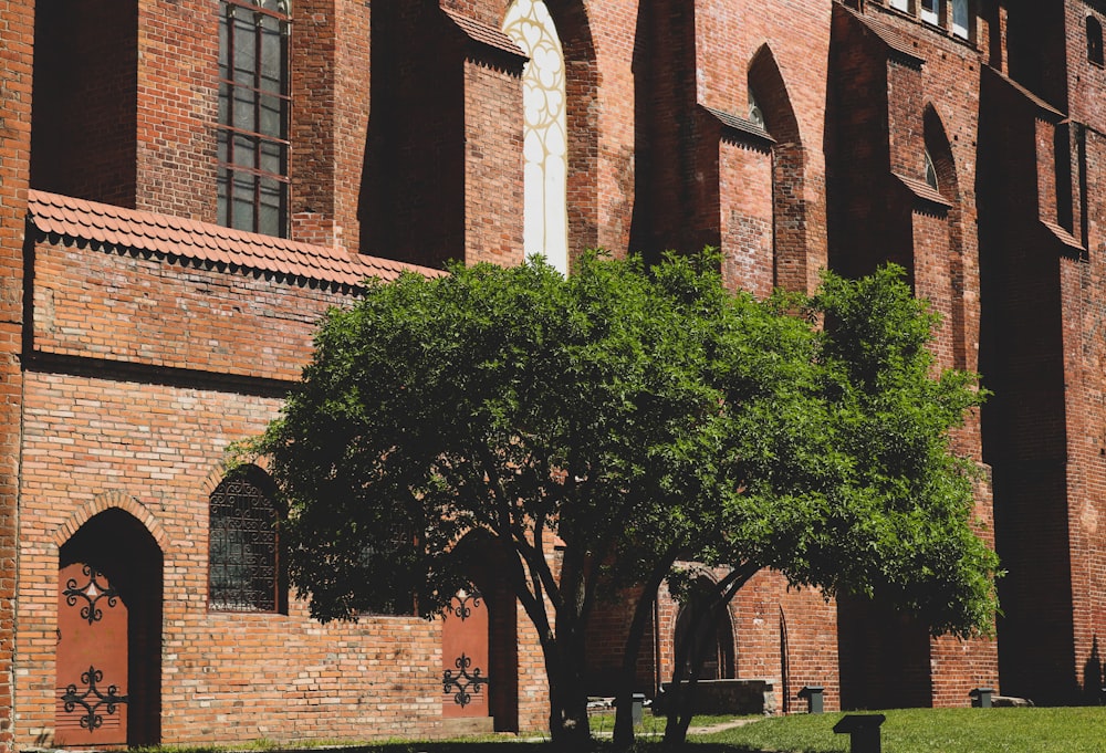 a large brick building with a tree in front of it