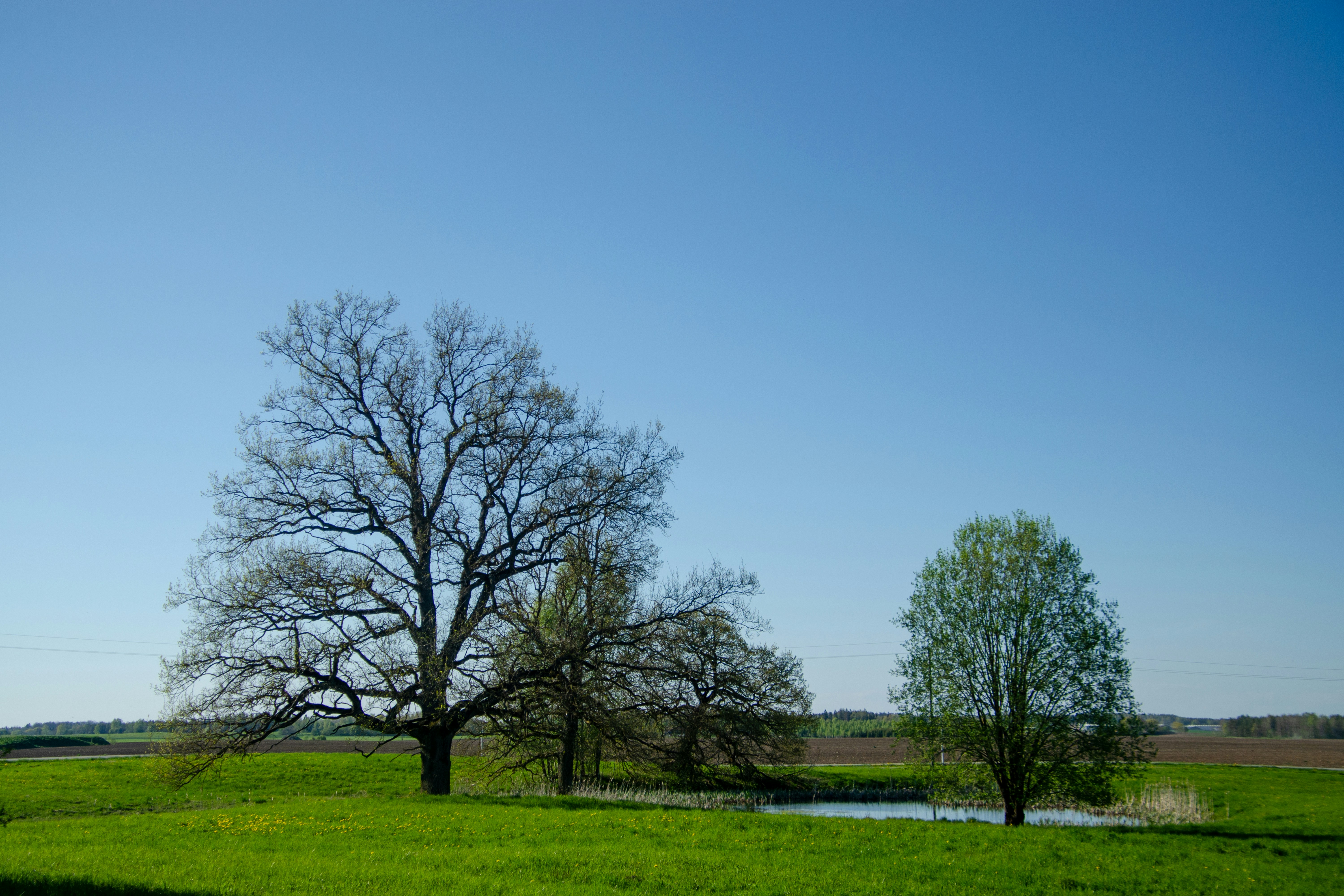 Photo by peepsaluvee