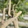 A close-up of a tree branch with a small green sprout growing from it. The background is blurred, highlighting the focus on the new growth. Sunlight gently illuminates the scene, creating a natural and serene atmosphere.