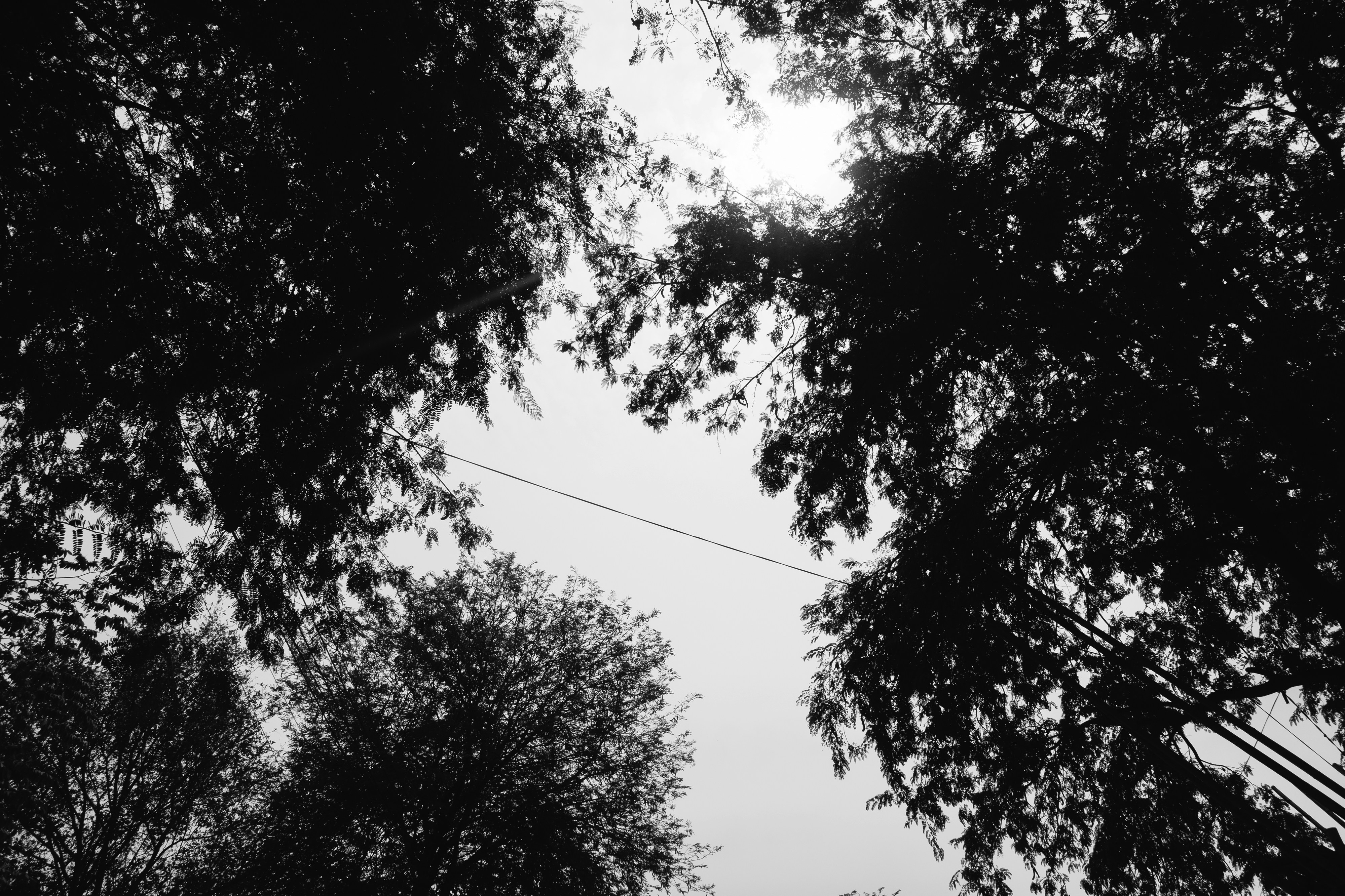 Photo by markuswinkler