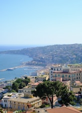 A scenic view of diverse international properties by the sea and city skyline.