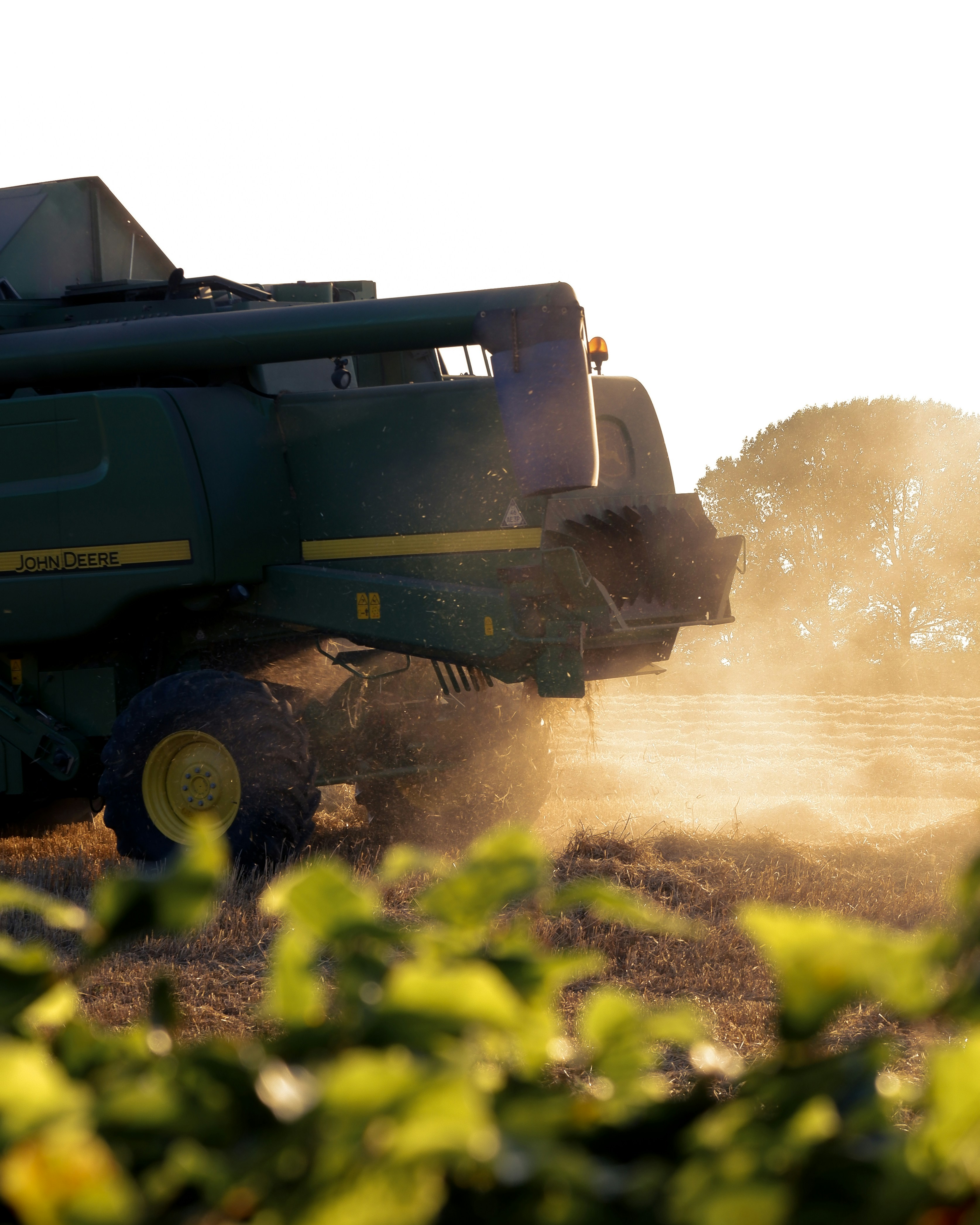 Agricultural harvesting machine in golden wheat field at sunset, metal farming equipment