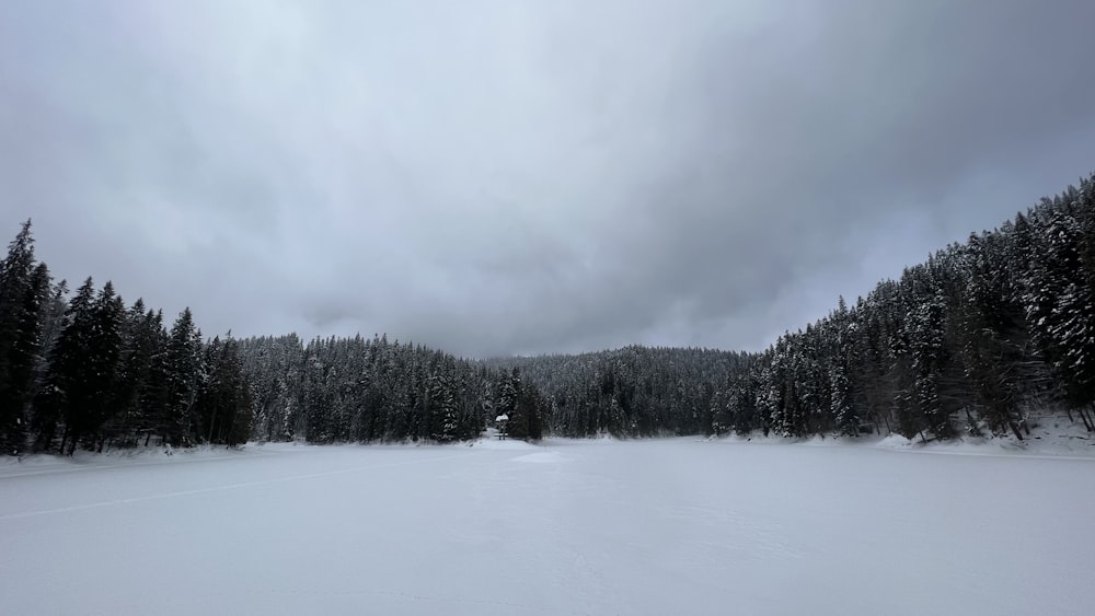 a snow covered field surrounded by trees under a cloudy sky
