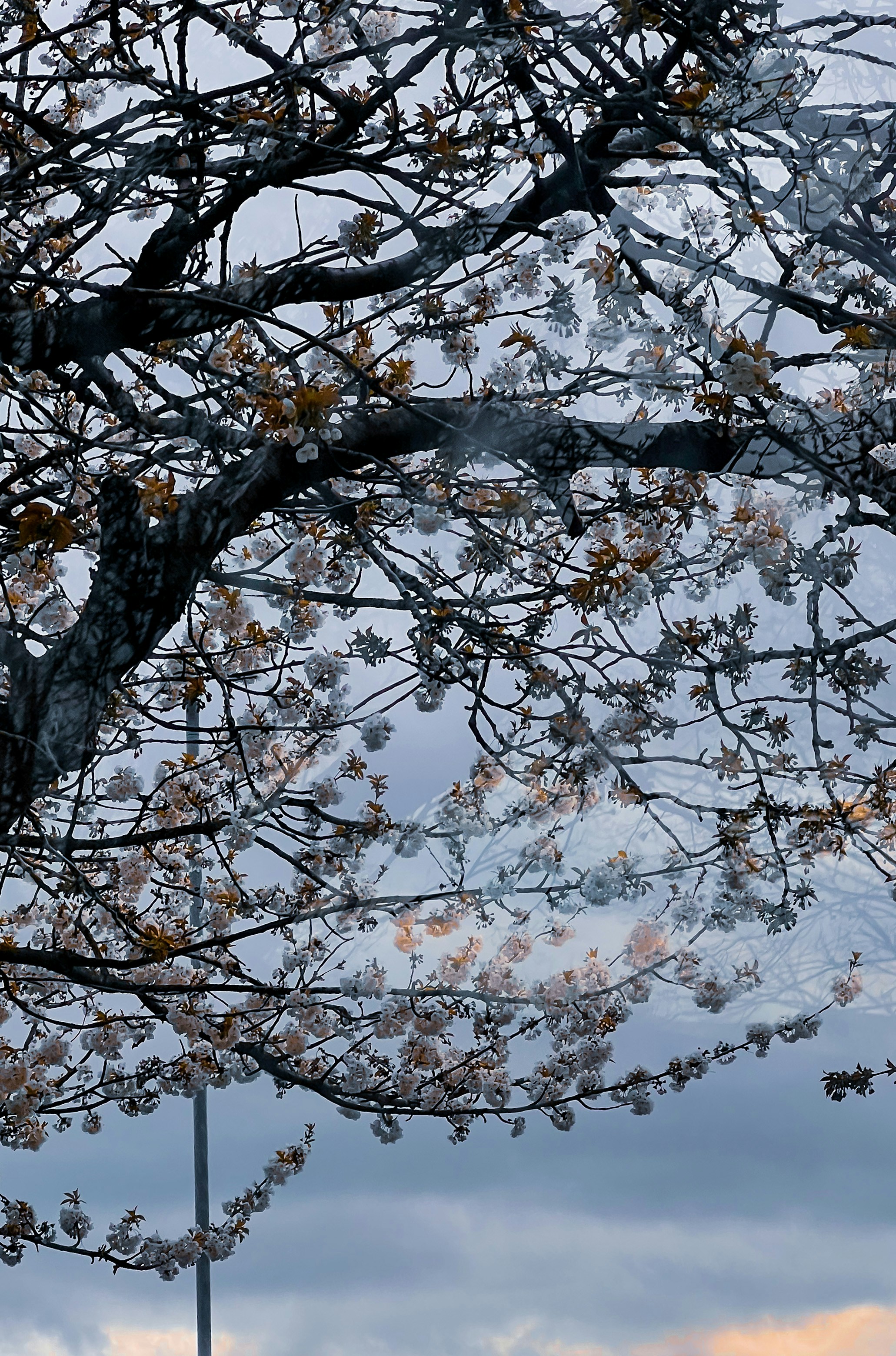 Photo by the_peacemaker__