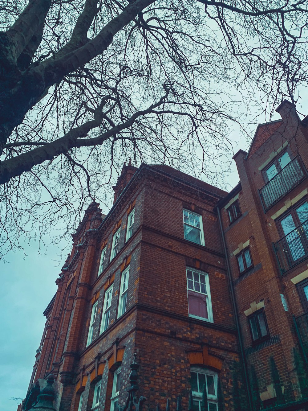 a tall brick building sitting next to a tree