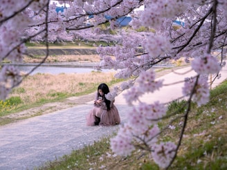 A peaceful scene of someone sitting beneath the sakura tree, lost in storytelling.