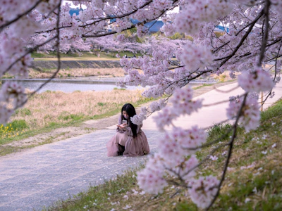 A serene outdoor scene with a person reading poetry under a blooming cherry blossom tree.