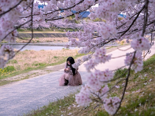 A peaceful scene of someone sitting beneath the sakura tree, lost in storytelling.