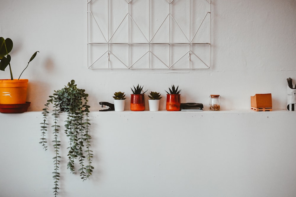 a white wall with some plants on top of it
