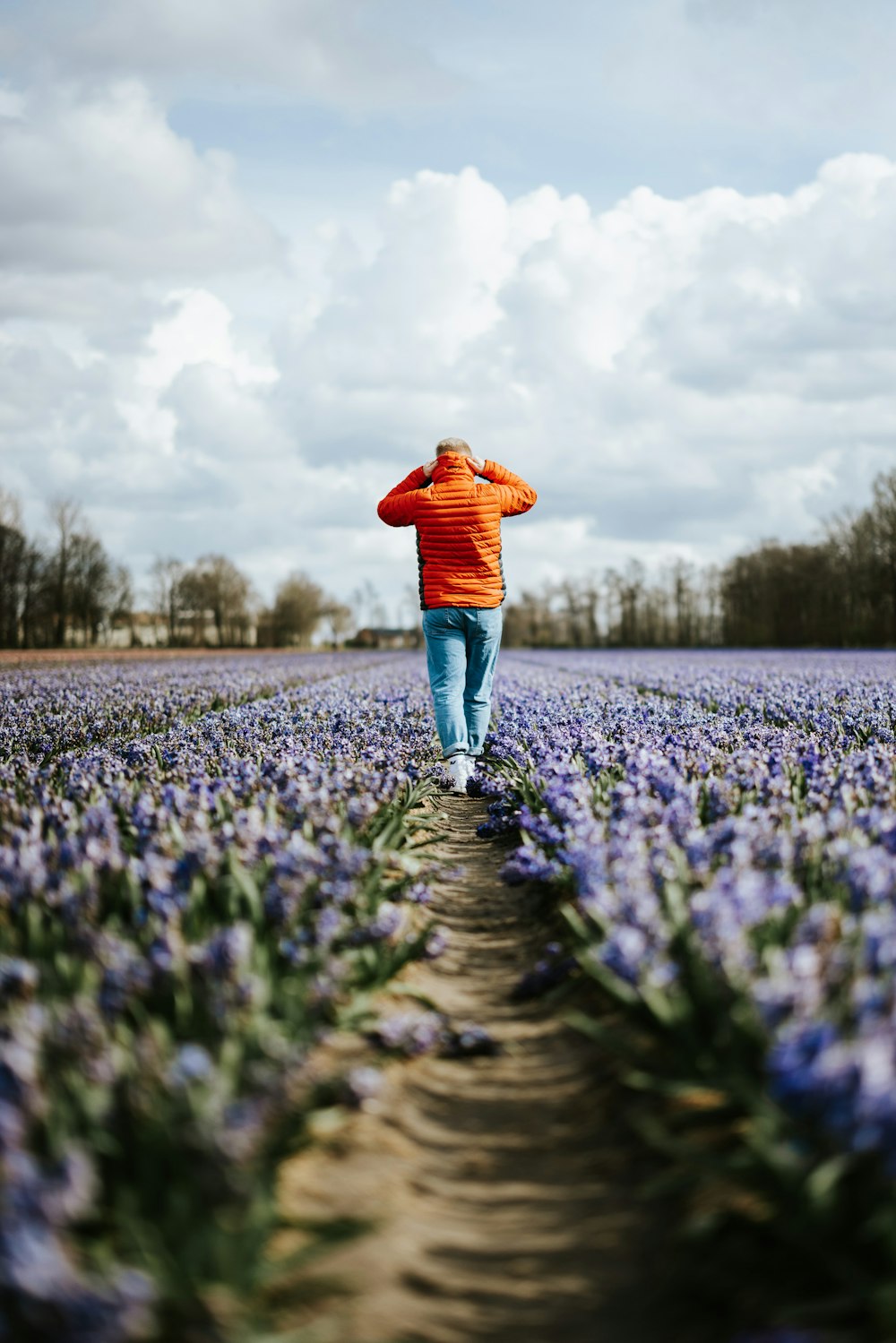 a person walking through a field of purple flowers