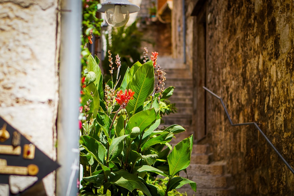 a narrow alleyway with flowers and a lamp post
