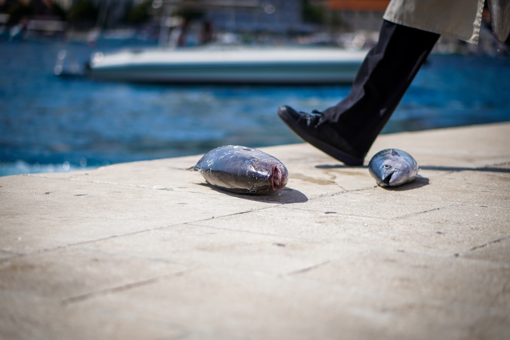 a person standing on a dock next to a bottle