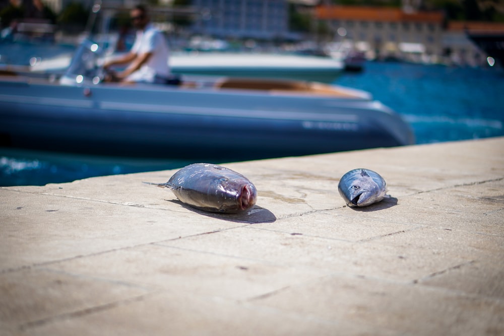 a couple of glass bottles sitting on the ground