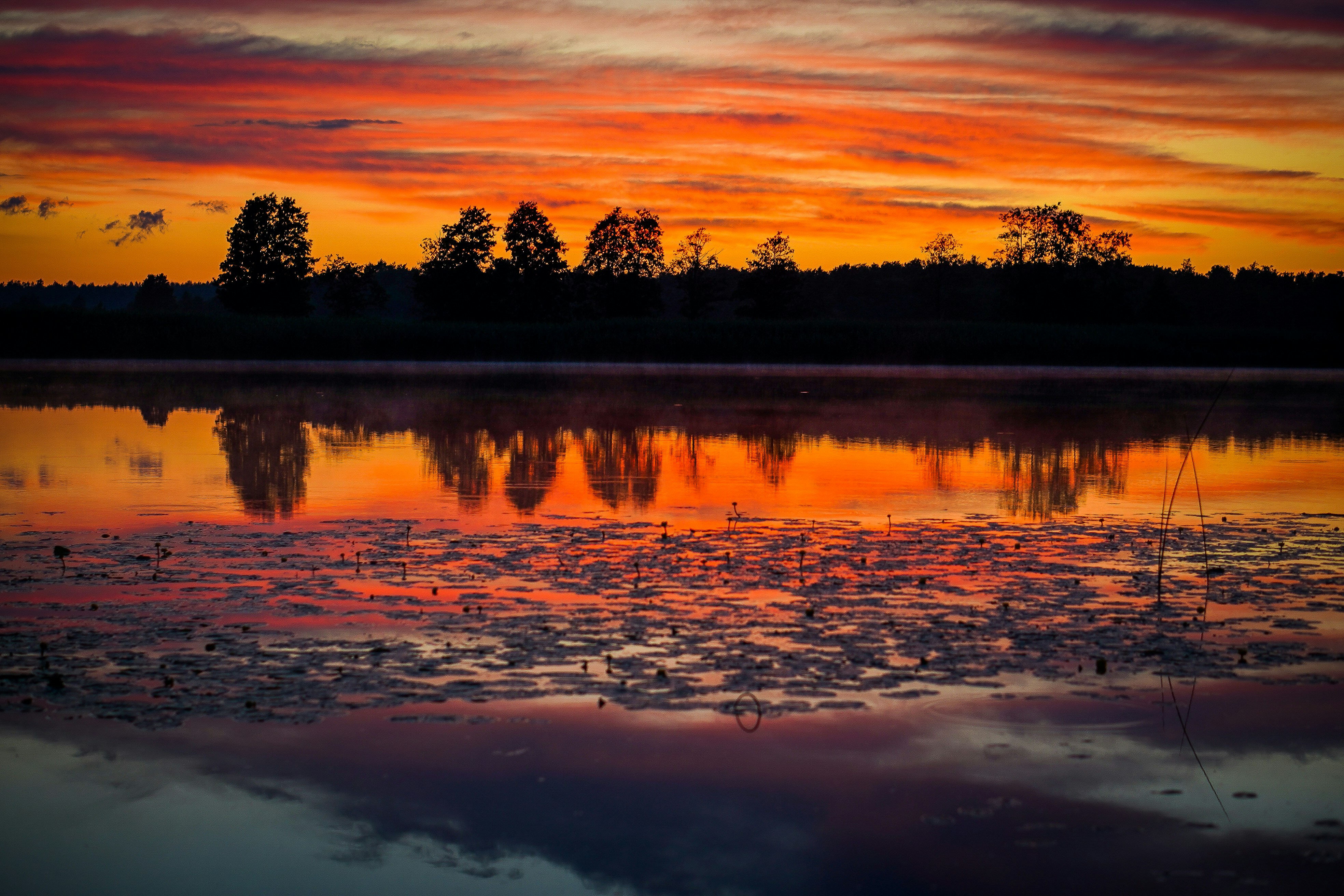 Sunset Over the Lake